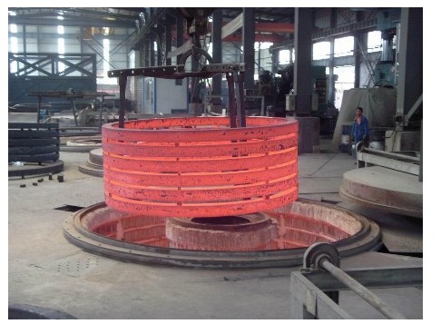 ������ʽ¯